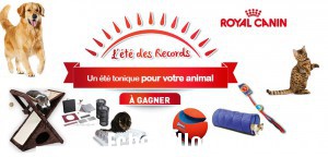 Lots de jeux pour chat et chien à gagner avec Royal Canin