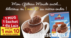 Mug cakes Ancel à tester sur Les Initiés