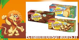 Bons de réduction sur les produits gourmands Savane Brossard