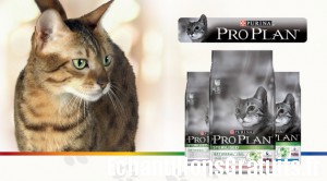 Les Initiés: 4.000 testeurs des  croquettes PRO PLAN pour chats