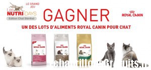 100 lots de nourriture pour chats Royal Canin à gagner