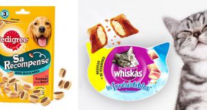 Testez gratuitement les friandises Whiskas pour chats ou Pedigree pour chiens