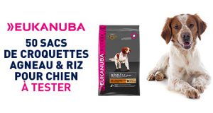 50 paquets de croquettes Eukanuba pour chien à tester