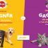 Grand jeu Pedigree & Whiskas : de nombreux lots à gagner pour vos chiens et chats