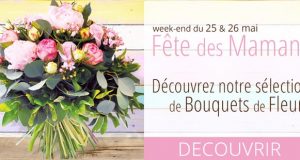 L’Agitateur Floral : 3€ de réduction sans minimum d’achat