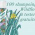 Lucette : 100 shampoings secs Batiste Wildflower sont à tester