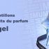 Échantillons gratuits du parfum Angel de Thierry Mugler