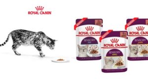 Royal Canin : coffrets de nourriture Sensory offerts